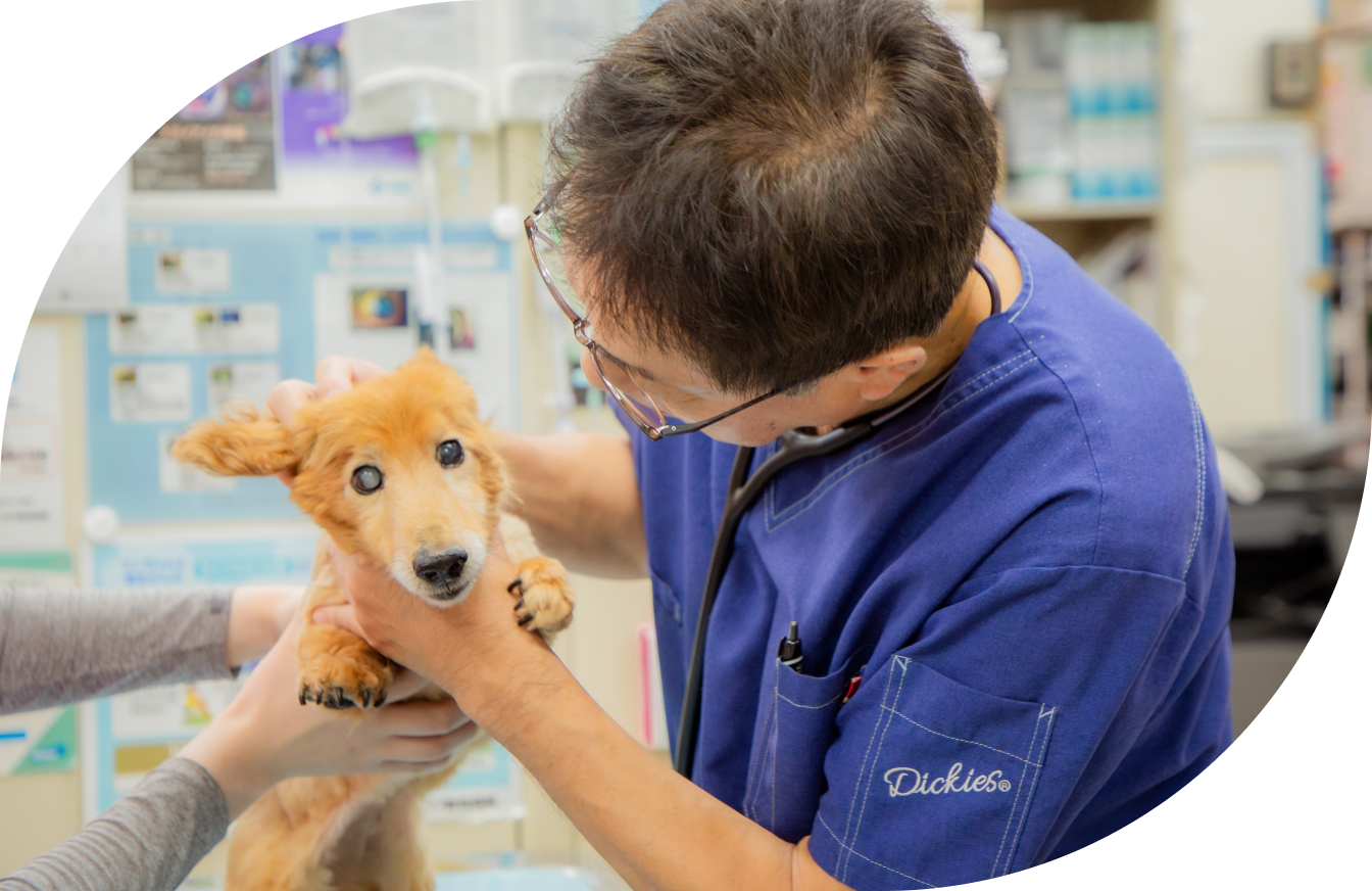 研修制度について