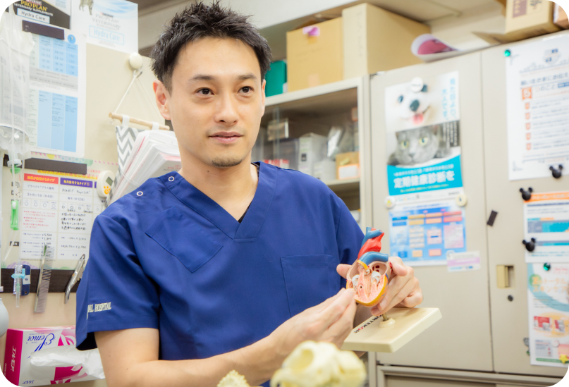 ナガワ動物病院では、幅広い知識・技術を備えたゼネラリストとしての診療を行っています。