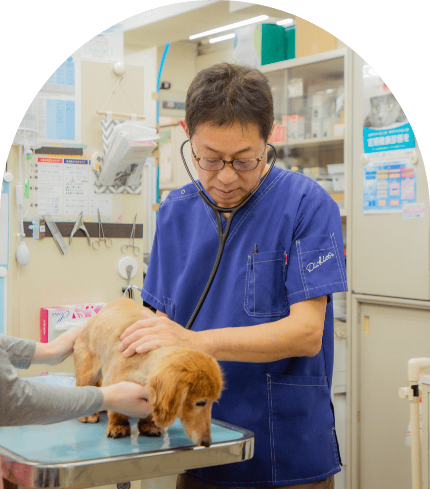 ナガワ動物病院では、幅広い知識・技術を備えたゼネラリストとしての診療を行っています。