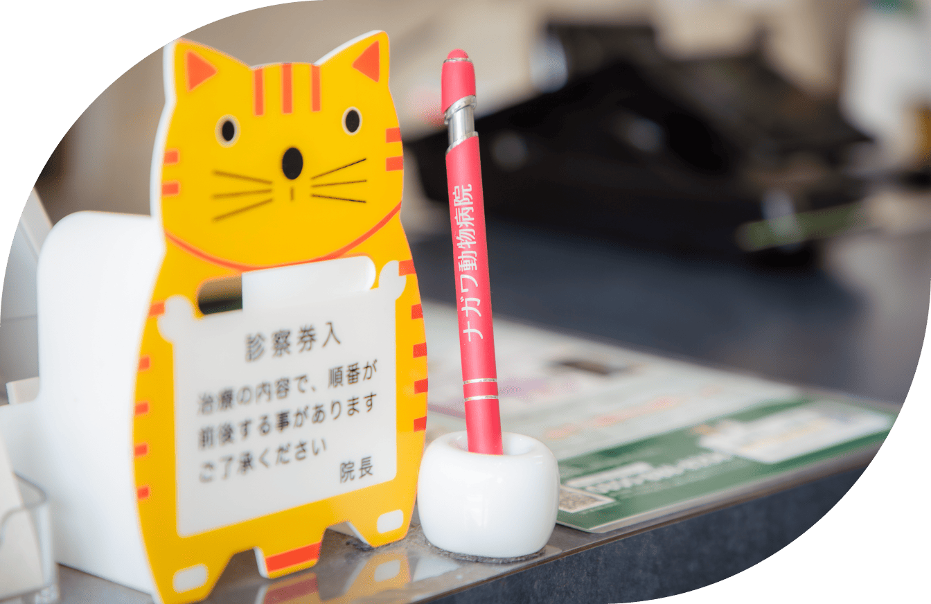 研修制度について