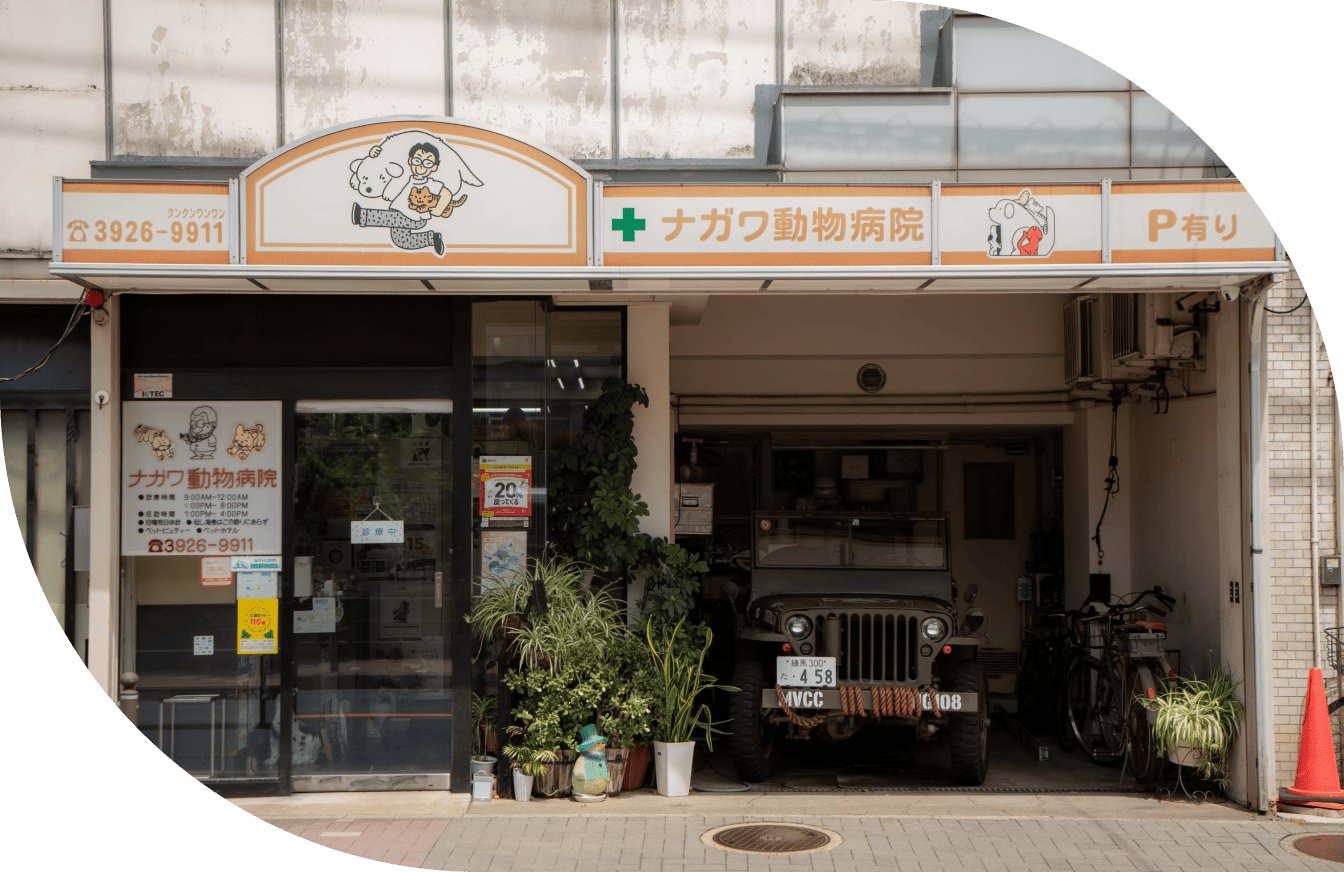 ナガワ動物病院では、幅広い知識・技術を備えたゼネラリストとしての診療を行っています。