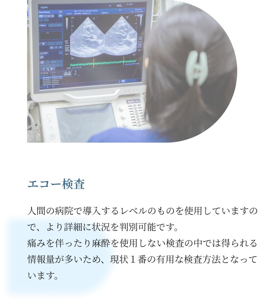 当院の検査について