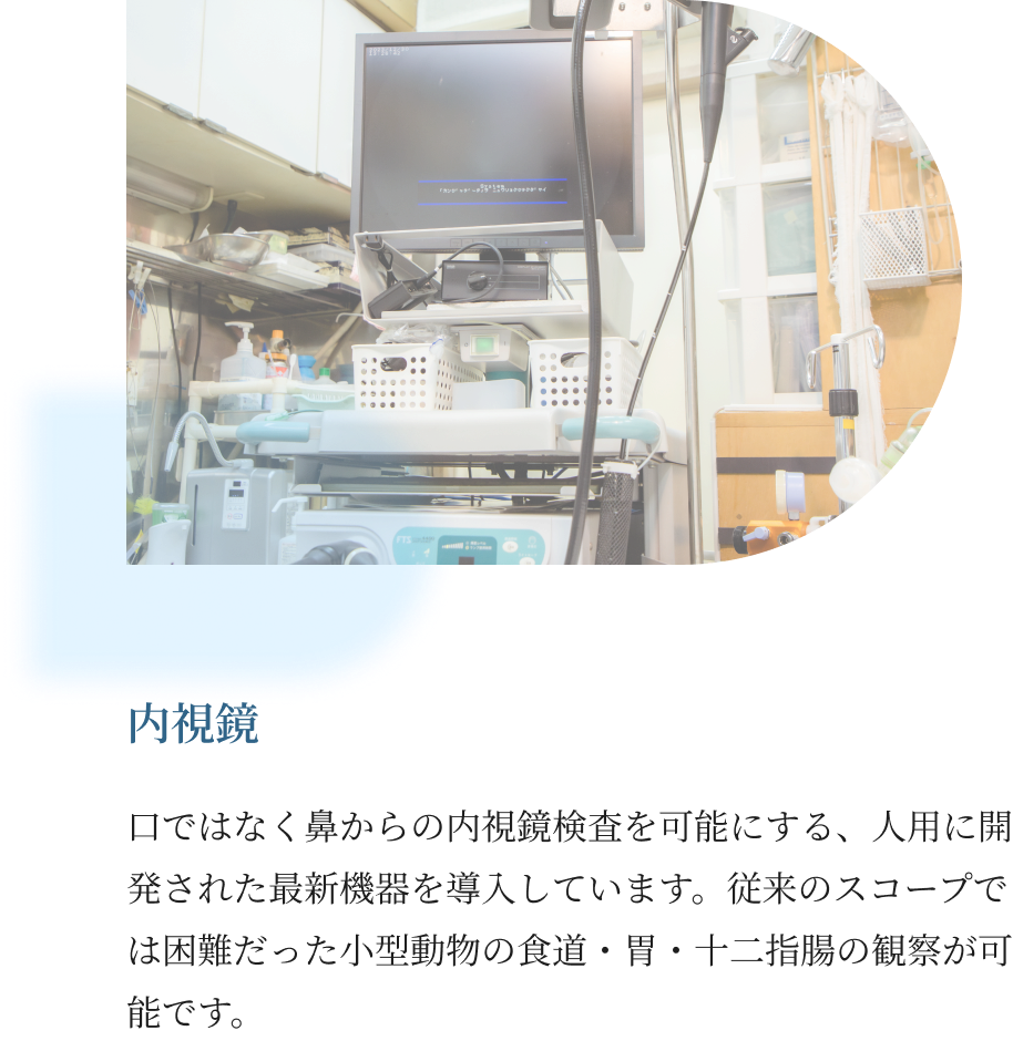 当院の検査について