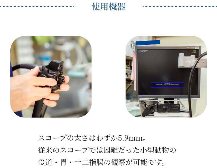 当院の検査について