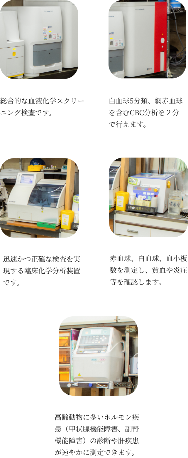 ナガワ動物病院の検査について