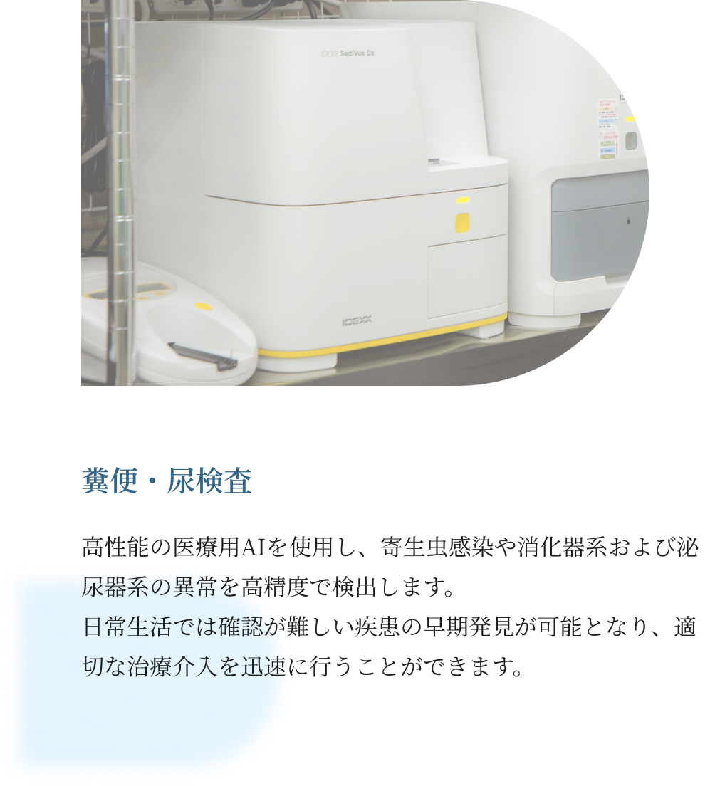 当院の検査について