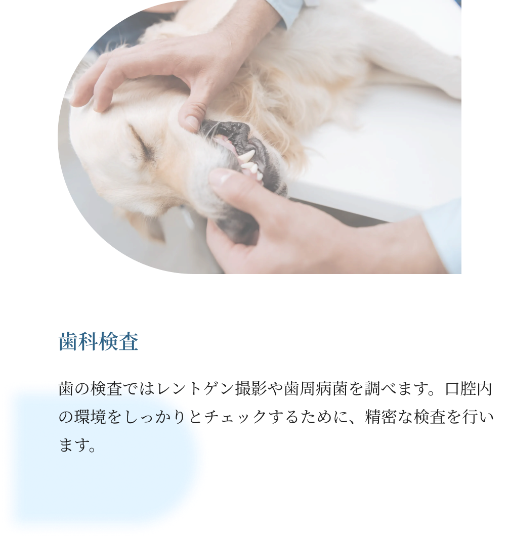 当院の検査について