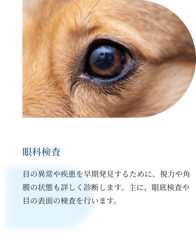 当院の検査について