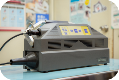 ナガワ動物病院の特徴について