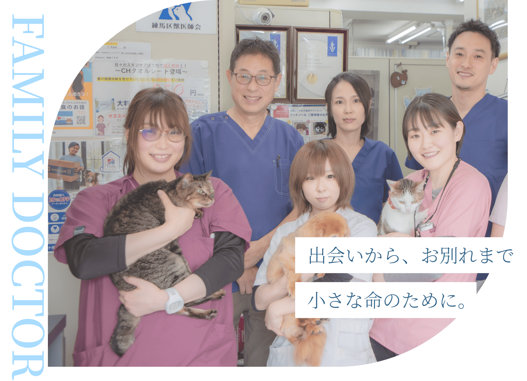 ナガワ動物病院では、幅広い知識・技術を備えたゼネラリストとしての診療を行っています。