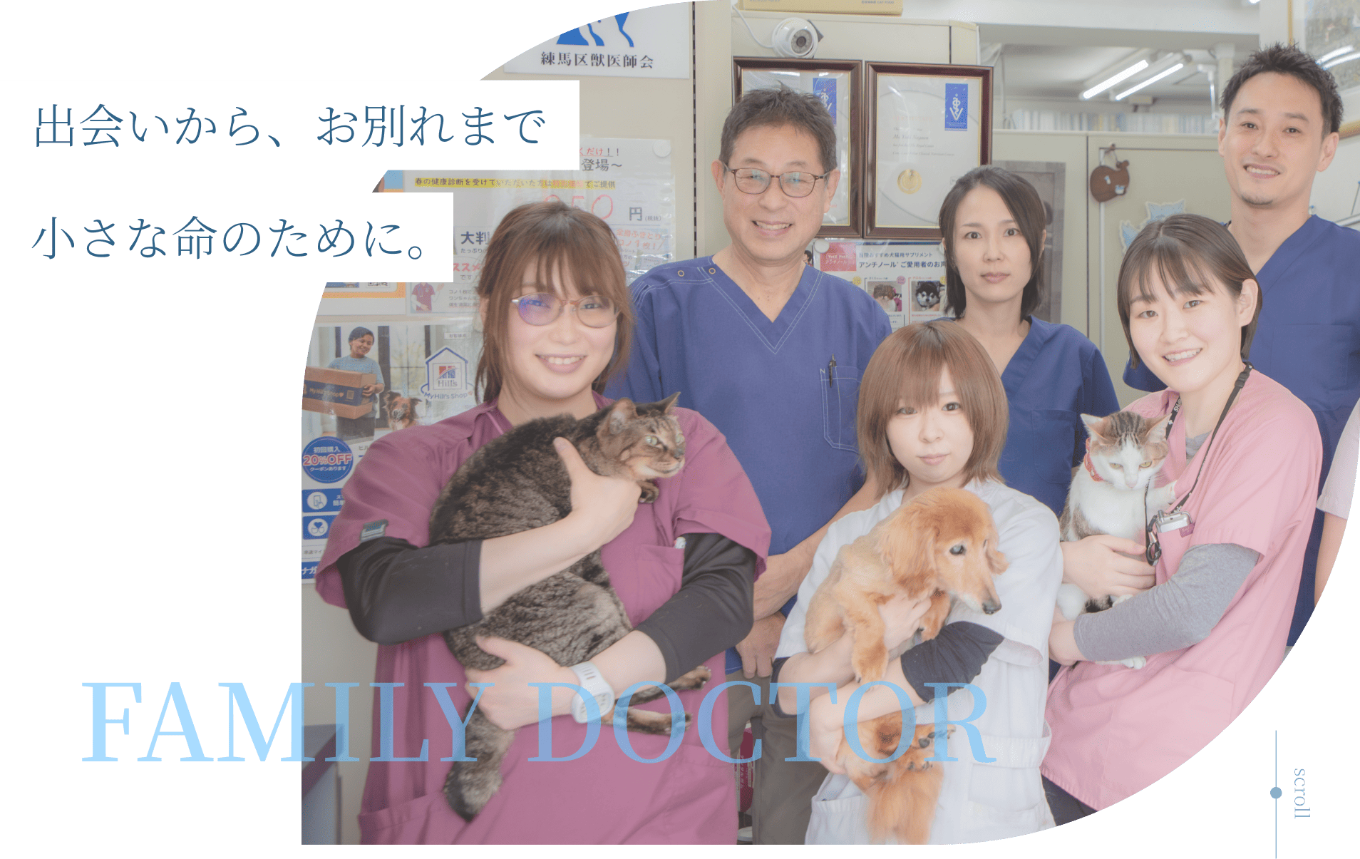 ナガワ動物病院では、幅広い知識・技術を備えたゼネラリストとしての診療を行っています。