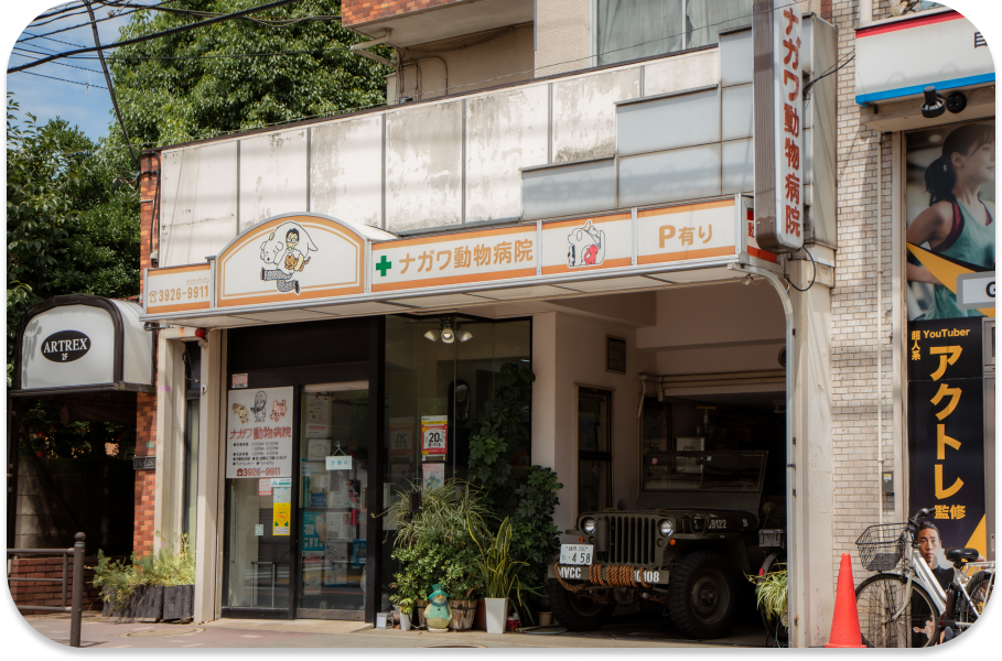 ナガワ動物病院では、幅広い知識・技術を備えたゼネラリストとしての診療を行っています。