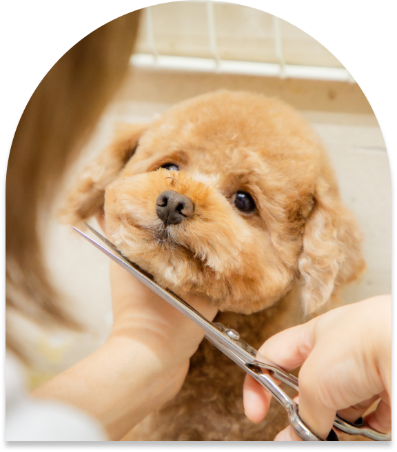 ナガワ動物病院、出会いからお別れまでを、すぐそばで支える。