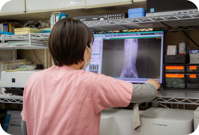 ナガワ動物病院、出会いからお別れまでを、すぐそばで支える。