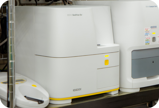 ナガワ動物病院、出会いからお別れまでを、すぐそばで支える。