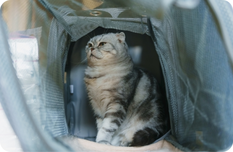 ナガワ動物病院、出会いからお別れまでを、すぐそばで支える。