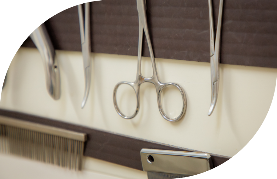 ナガワ動物病院の特徴について