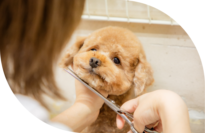 ナガワ動物病院の特徴について