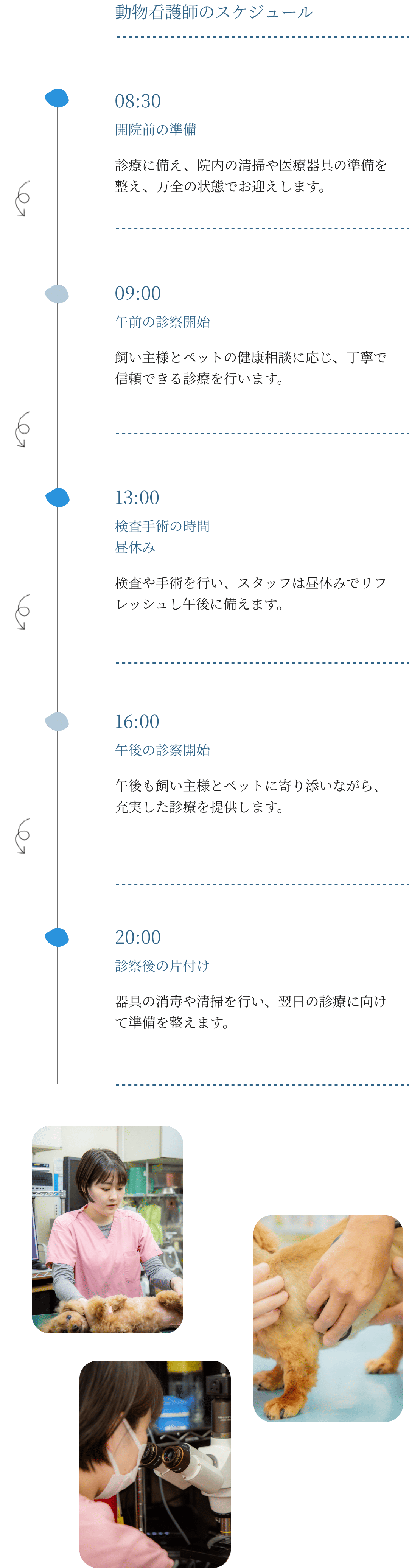 ナガワ動物病院の特徴について