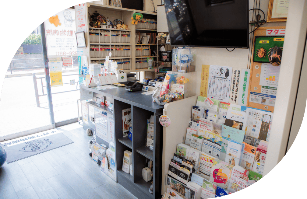 研修制度について