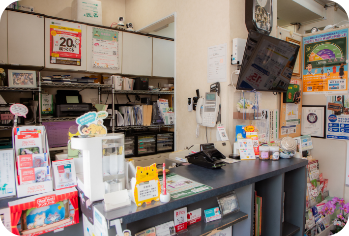 ナガワ動物病院の特徴について