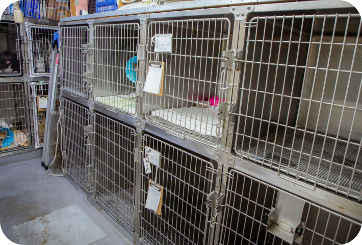 ナガワ動物病院の特徴について