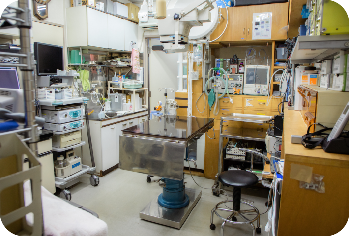 ナガワ動物病院の特徴について