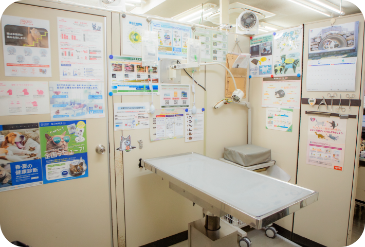 ナガワ動物病院の特徴について