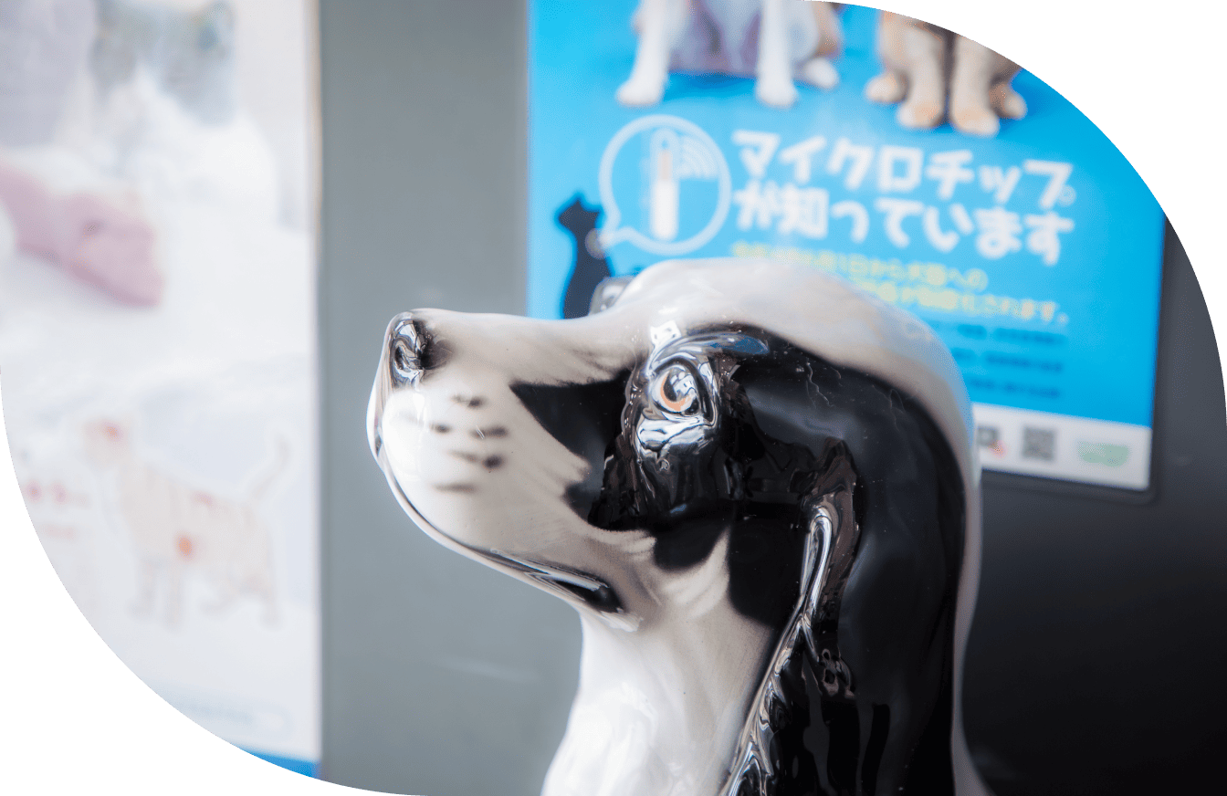 ナガワ動物病院の特徴について