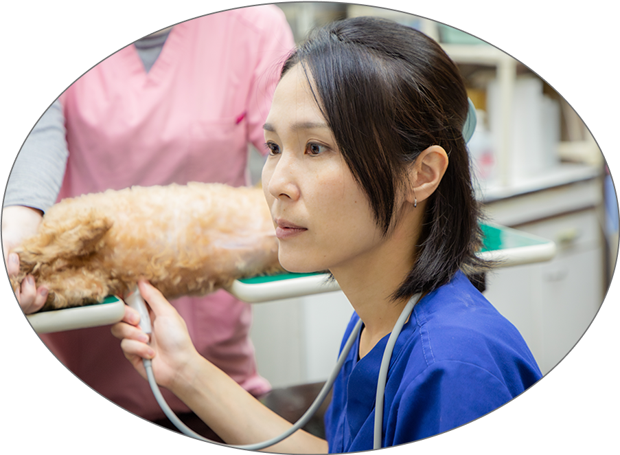 ナガワ動物病院の特徴について