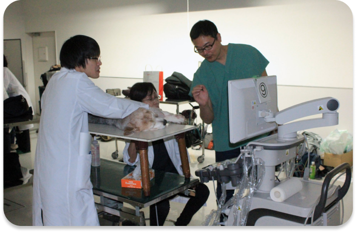 ナガワ動物病院の特徴について