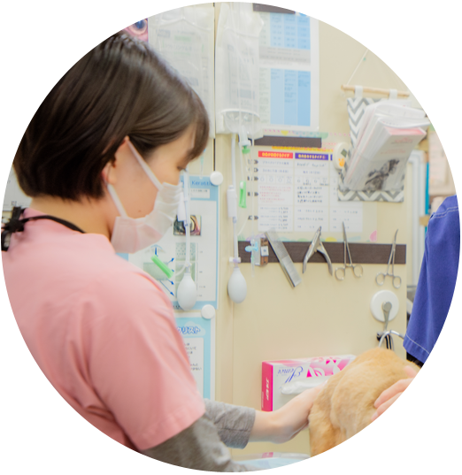 ナガワ動物病院の先輩の声