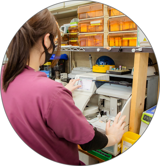 ナガワ動物病院の先輩の声