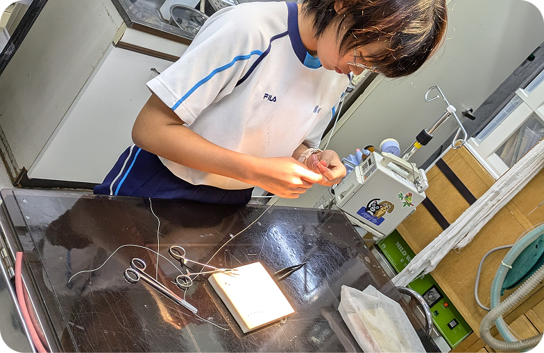 ナガワ動物病院の特徴について